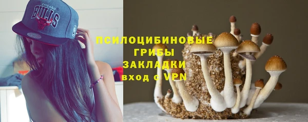 бошки Абаза