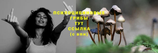 бошки Абаза