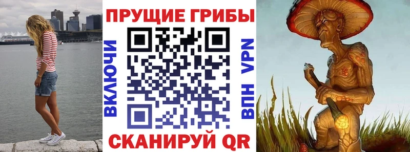 Галлюциногенные грибы мухоморы  ОМГ ОМГ tor  Вичуга 