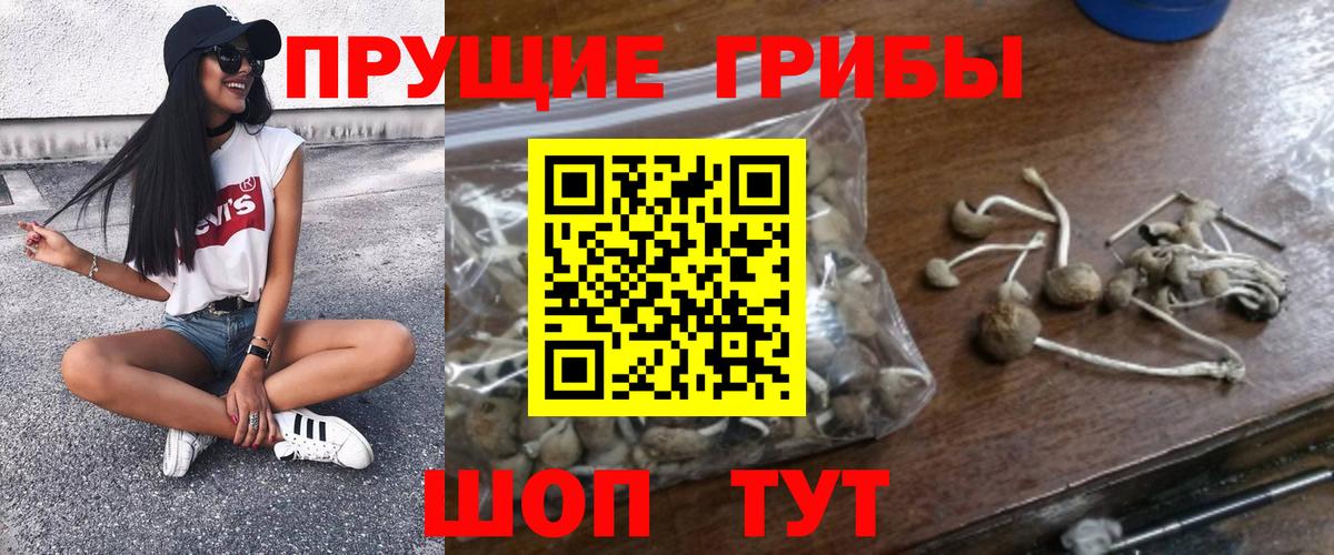 Псилоцибиновые грибы Cubensis  Вход с VPN  Псилоцибиновые грибы Psilocybine cubensis  как найти закладки  Вичуга 