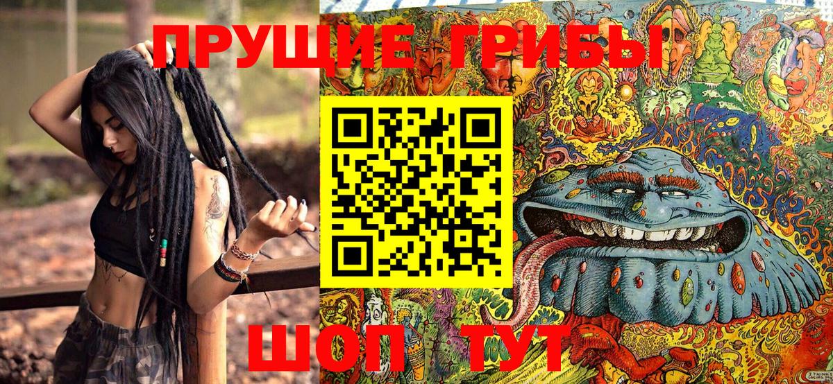 Псилоцибиновые грибы мицелий Вичуга